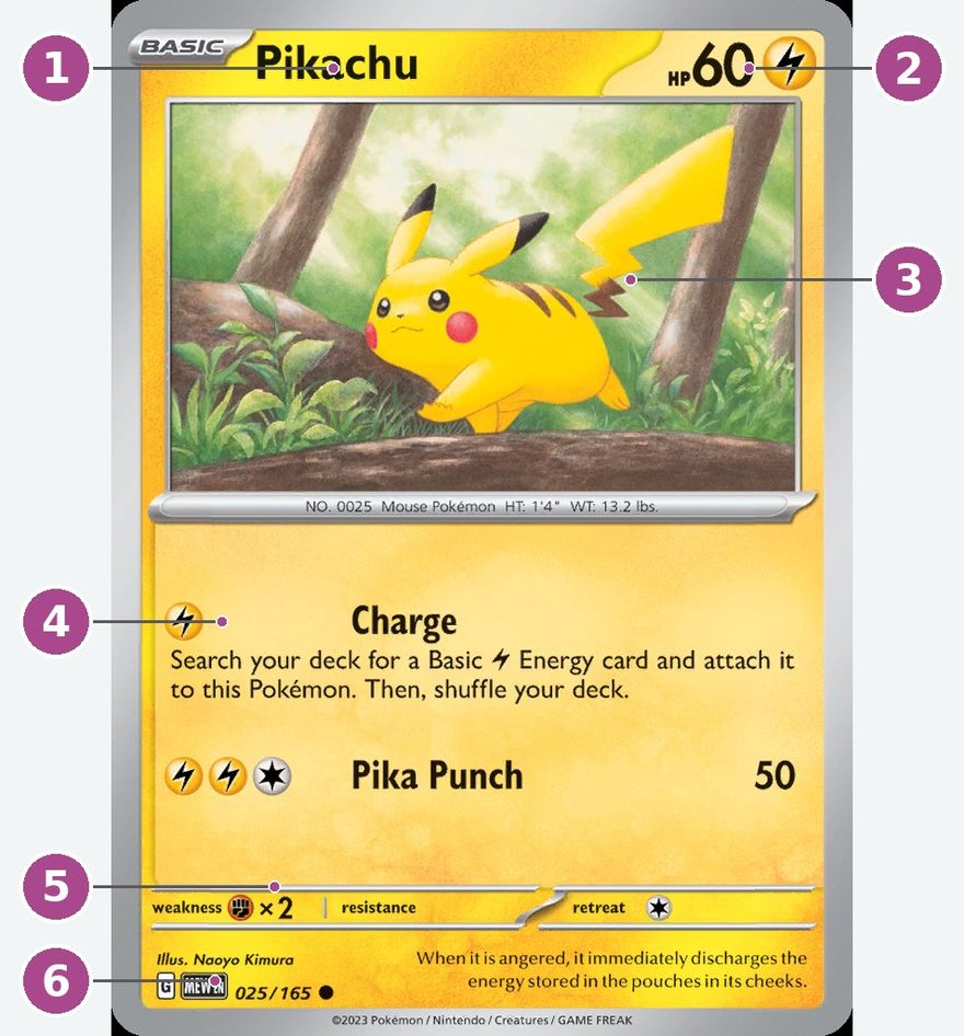 Popsaná Pokémon karta s vyznačenými částmi: 1 název a stupeň vývoje, 2 HP a typ, 3 ilustrace, 4 útoky, 5 slabost, odolnost a ústup, 6 dolní lišta s číslem, edicí, raritou, značkou a autorem.